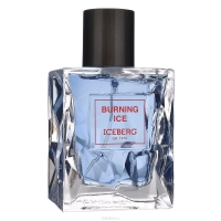 iceberg-burning-ice---tualetnaja-voda-30719-20130726053300